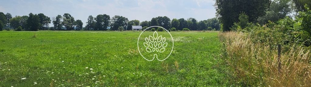Działki budowlane na sprzedaż | rojewice |