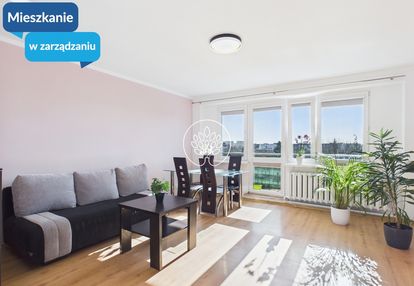 Dwupokojowe mieszkanie do wynajęcia górzyskowo