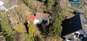 Rzut beretem do zalewu cieszkowskiego - trzepnica