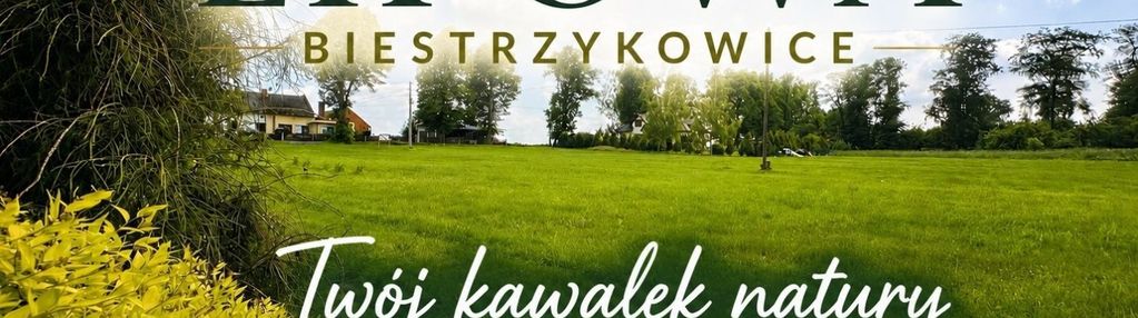 Biestrzykowice przy ul. lipowej 8200 m2