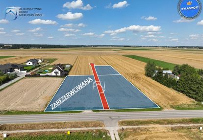 Ustawne działki - radawczyk kolonia pierwsza