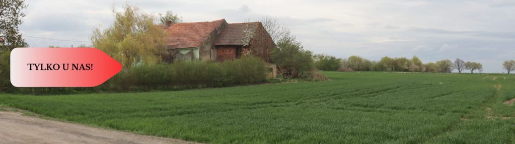 Duża działka 1,15 ha z zabudowaniami