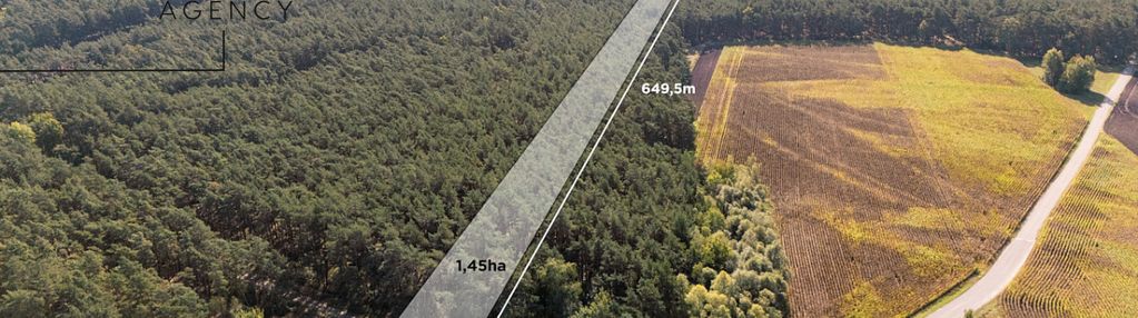 Działka leśna / natura 2000