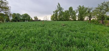 Działka rolna 896m2 nowa wieś gm. piotrków kuj.
