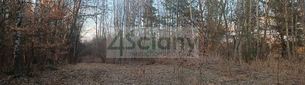 Urokliwa działka ojrzanów, las