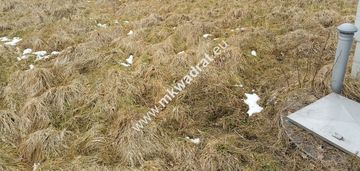 Duża, słoneczna, tania!