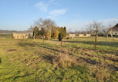 Działka budowlana - strzegom