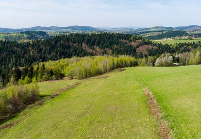 Działka rolno-budowlana polichty!