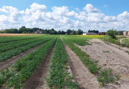 Działka 1ha zabudowa szereg /bliźniacza blisko waw