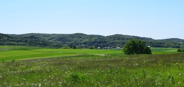 Działki rolne 86a i 112a- brzeziny