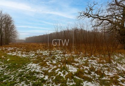 Działka 3001m2, z wz na 3 budynki, lisówek