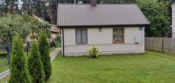 Siedlisko na sprzedaż pod puszczą kozienicką