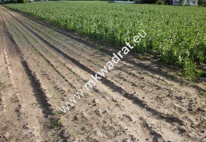 Konstantów działka 1.225m2 wym.35x35 pkp a2 lux !!