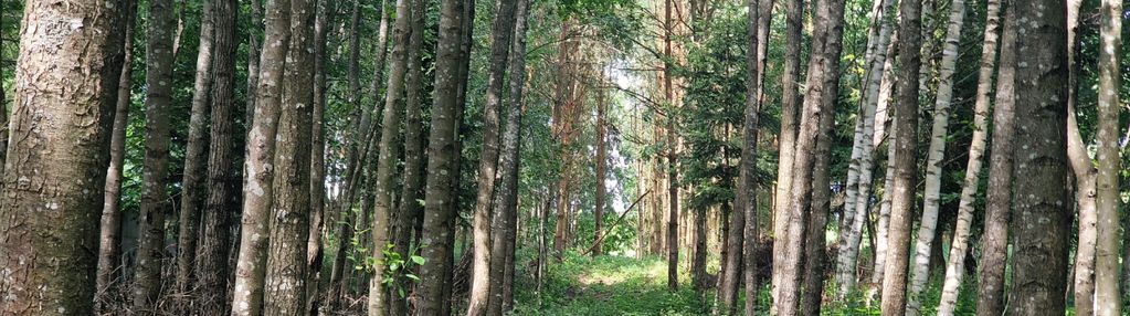 Działka w szczodrowie - na weekend, na rekreację