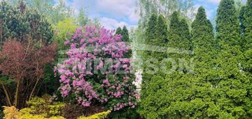 Centrum dobra lokalizacja