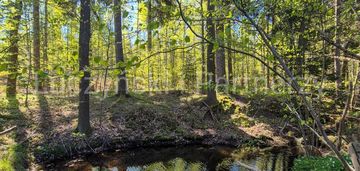 Piękne siedlisko - kwieciszowice