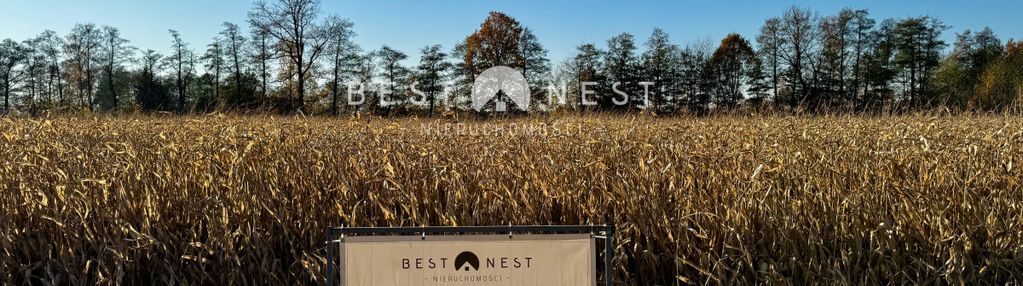 Działka budowlano-rolna z dużym potencjałem