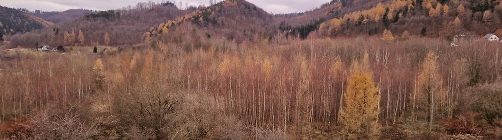 Widokowa działka w jedlinie zdrój