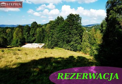 Działka w trzcińsku przy sokolikach