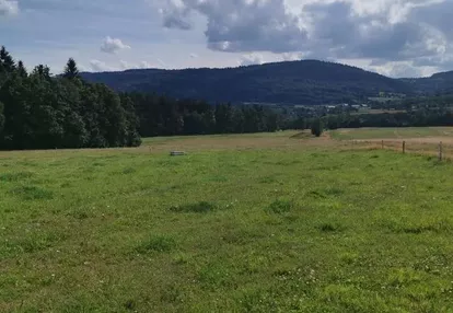 Sprzedam działkę rolną w Ponikwie