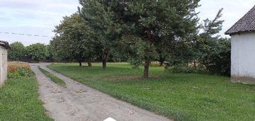 Siedlisko w ziółkowie