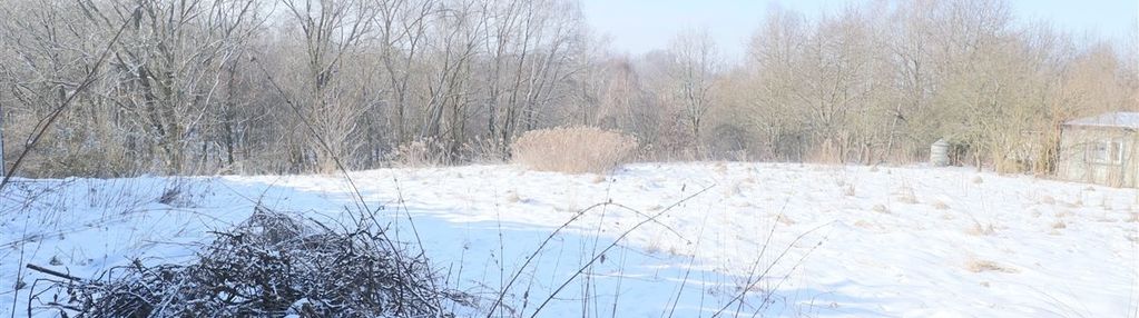 Widokowa, pod  rozłożysty dom oparta o las