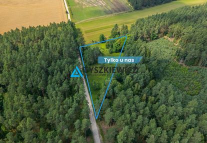 Duża działka w dobrej – teren w otoczeniu natury