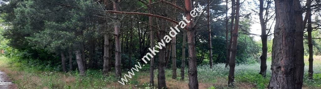 Urocza działka blisko wkd
