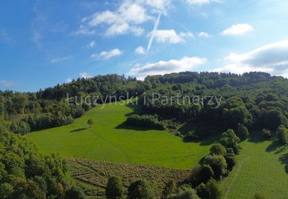 15 ha w wojcieszowie