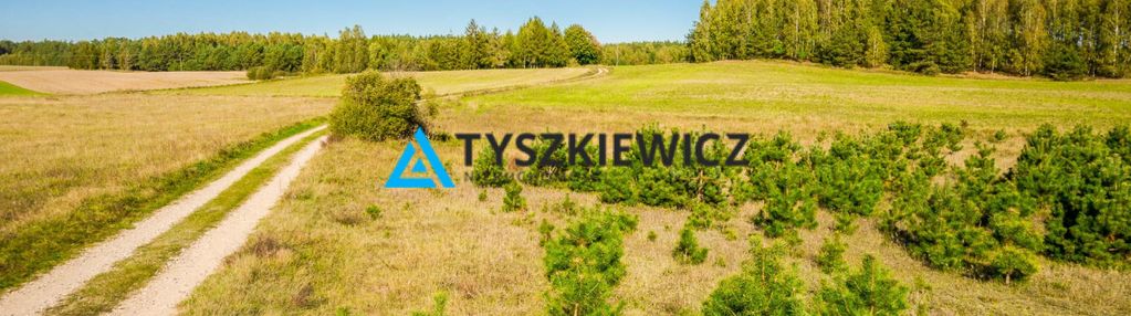 Działka o powierzchni 5,30 ha w gminie kościerzyna