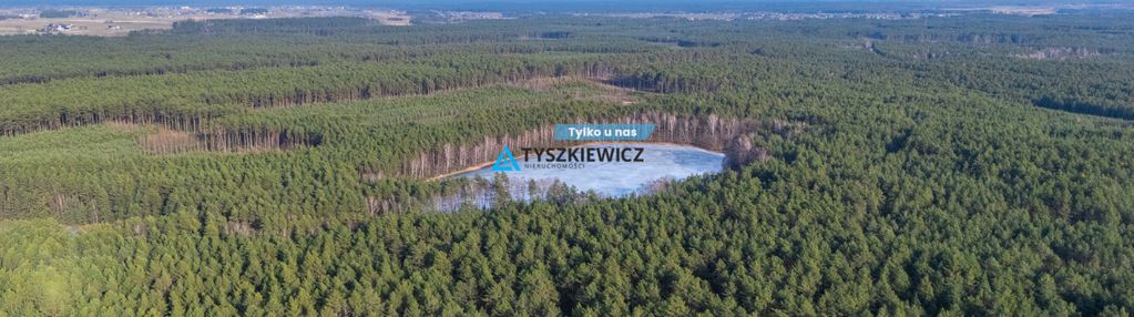 Działki leśne w brodzie