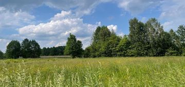 8808 m² pod zabudowę jednorodzinną i usługi.