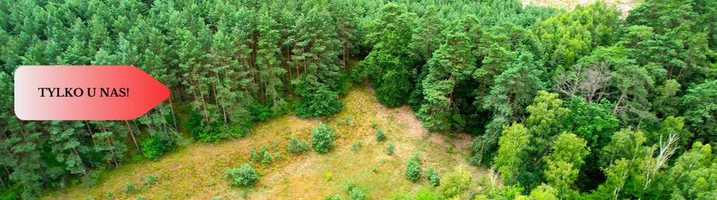 Cegielnik działka 1356m2 ze ścianą lasu