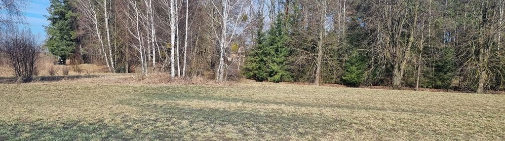 Działka z widokiem na las