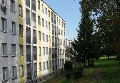 Bilika słoneczne ciepłe widok na zieleń
