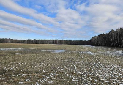 Grunt rolny 4,98 ha, lechlin gmina skoki