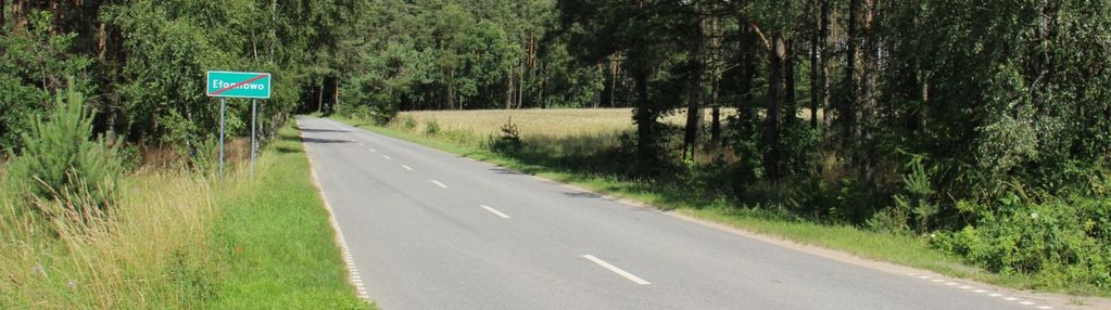 Ełganowo i trąbki wielkie - działka 8900m2