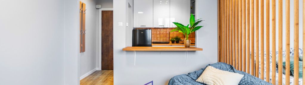 Kawalerka po remoncie, z wydzieloną sypialnią