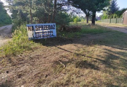 Działka w cieksynie nad wkrą w otoczeniu lasu