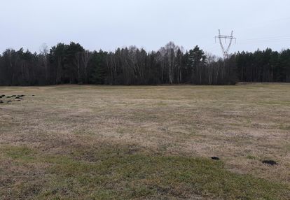 Łąka dobrej klasy 0,8 ha rudka-skroda gm. mały płock z linią brzegową