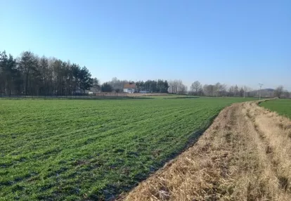 Działka na sprzedaż 1000m2