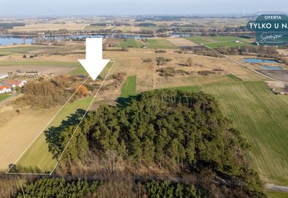 Przestronna działka 15 200 m² w łuszczewie