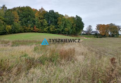 Działka blisko przodkowa - rogowa