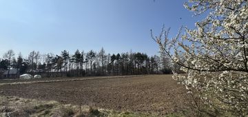 Działki z wz bobrowniki wielkie k/tarnowa
