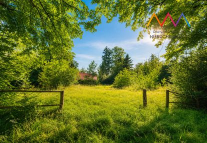 Inwestycja nad jeziorem – glamping, domki 1,66 ha