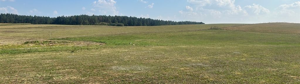 Działka budowlana na sprzedaż - oracze, gmina ełk