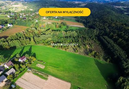 Duża działka z potencjałem inwestycyjnym – 2,52 ha