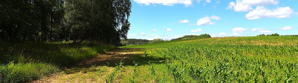 Działka budowlana na mazurach rożyńsk wielki