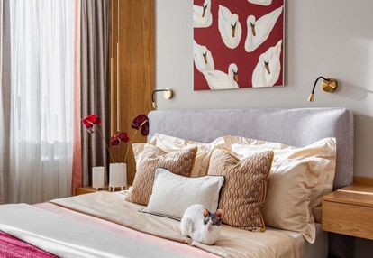 Zobacz na żywo✅centrum 15min ✅bez pcc