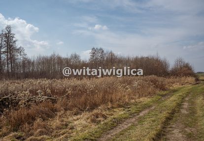 Działka siedliskowa z pozwoleniem na budowę.